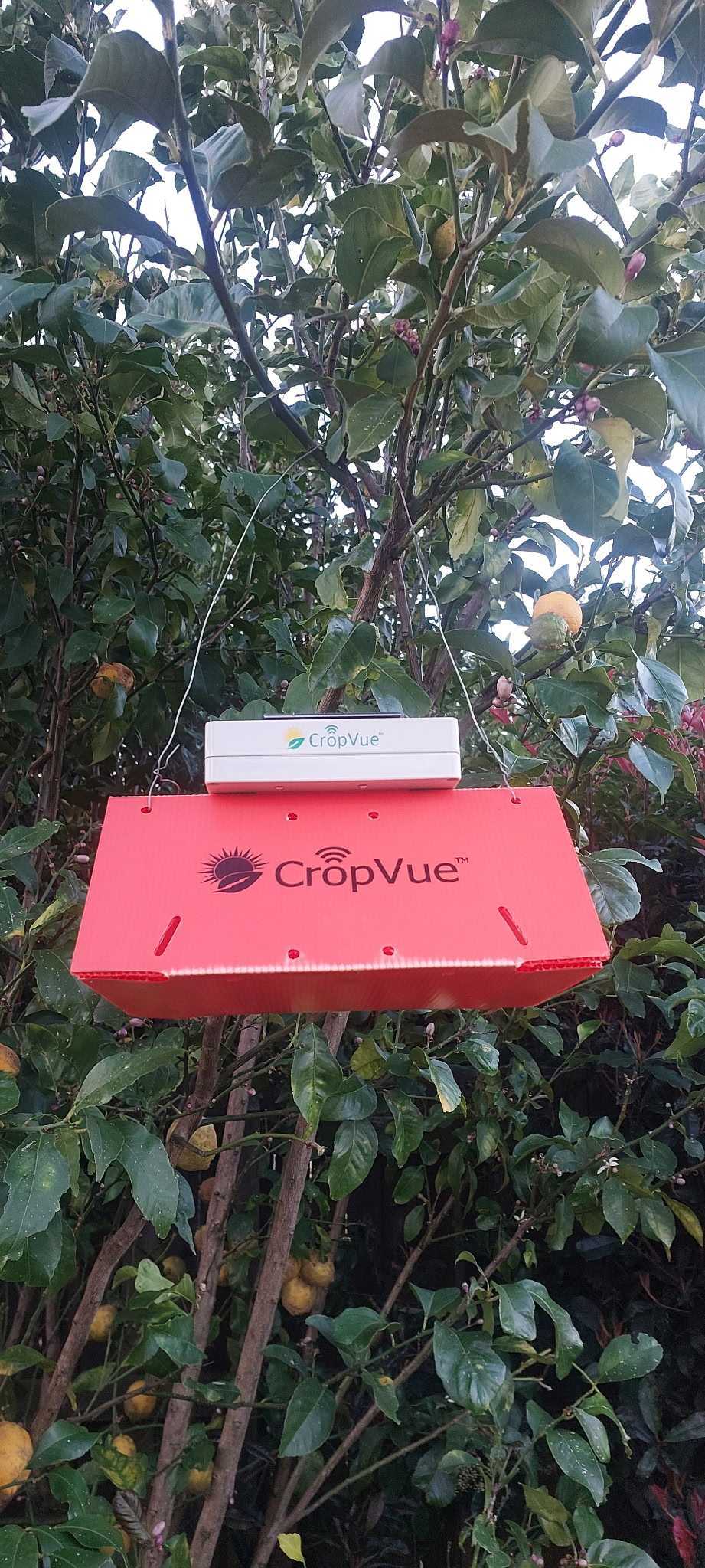 CropVue Automated Delta Traps